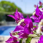 Tulipa By Algarve Holidays 알부페이라