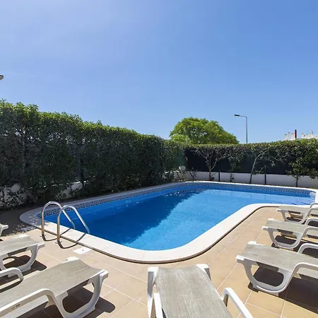 Tulipa Αλμπουφέιρα