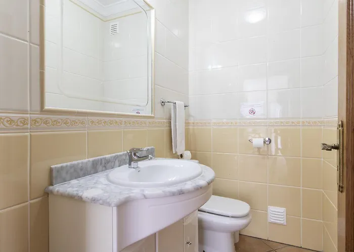 Tulipa Αλμπουφέιρα