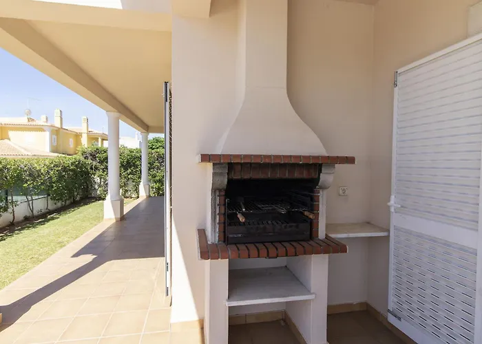 Tulipa 阿尔布费拉